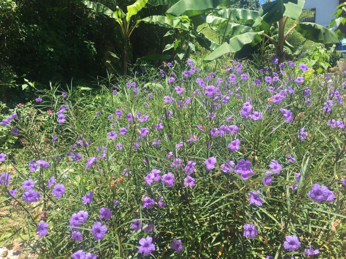 海之恋 Villa Miyakojima  Eksteriør bilde